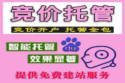 SEM托管服务案例：揭秘高效广告投放